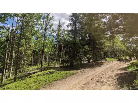 Roy Smith Rd, Central City, CO 80427 photo 13