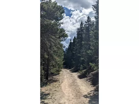Roy Smith Rd, Central City, CO 80427 photo 8