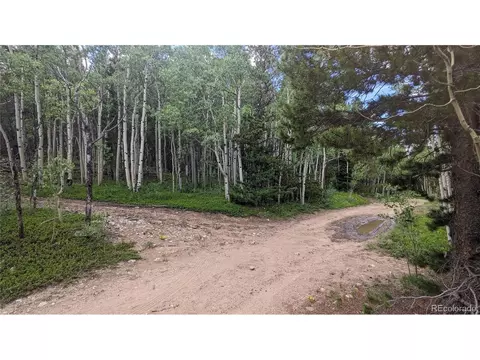 Roy Smith Rd, Central City, CO 80427 photo 7