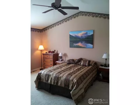 11275 Daisy Ct, Firestone, CO 80504 photo 14