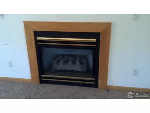 1105 Valley Dr, Windsor, CO 80550 photo 2