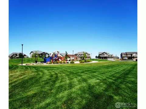7529 E 122nd Pl, Thornton, CO 80602 photo 3