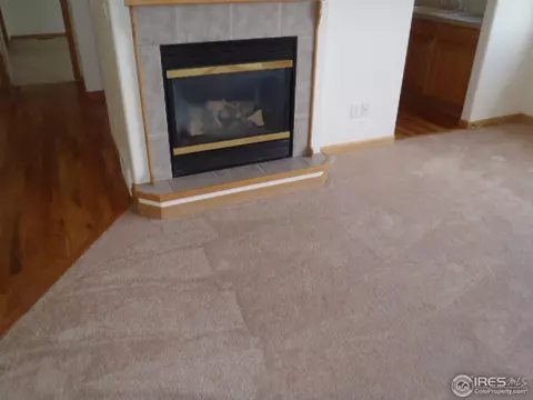 1706 68th Ave, Greeley, CO 80634 photo 4