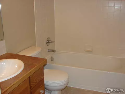 1418 Canal Dr, Windsor, CO 80550 photo 10