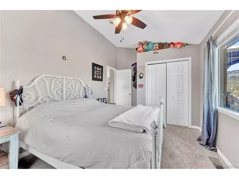 258 Wise Rd, Bailey, CO 80421 photo 17