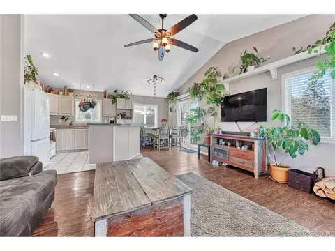 258 Wise Rd, Bailey, CO 80421 photo 5