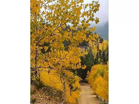 258 Wise Rd, Bailey, CO 80421 photo 36