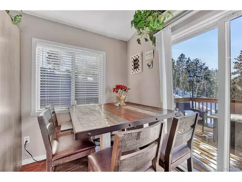 258 Wise Rd, Bailey, CO 80421 photo 12