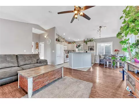 258 Wise Rd, Bailey, CO 80421 photo 6