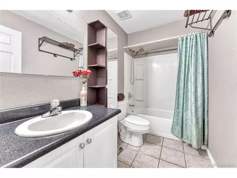 258 Wise Rd, Bailey, CO 80421 photo 24