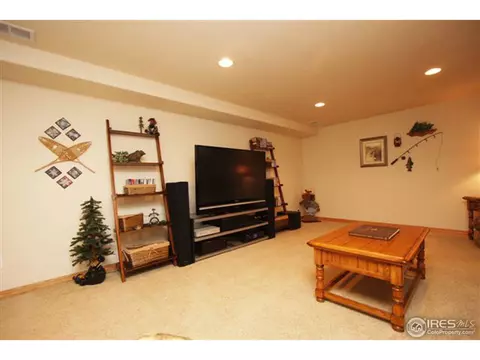 1001 Timberline Ct, Windsor, CO 80550 photo 18