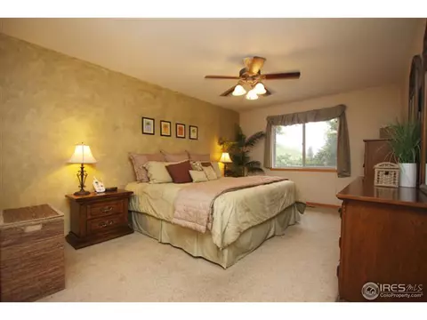 1001 Timberline Ct, Windsor, CO 80550 photo 8