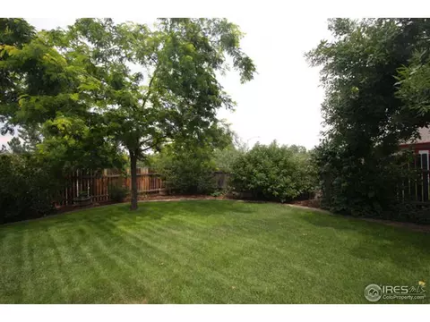 1001 Timberline Ct, Windsor, CO 80550 photo 23