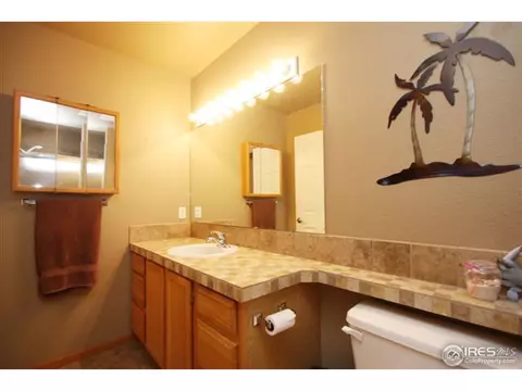 1001 Timberline Ct, Windsor, CO 80550 photo 9