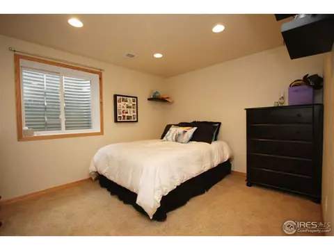 1001 Timberline Ct, Windsor, CO 80550 photo 13