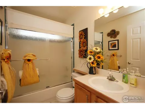 1001 Timberline Ct, Windsor, CO 80550 photo 11