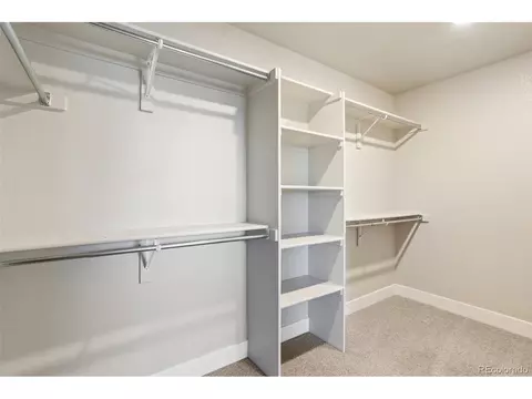 6209 Stable View St, Castle Pines, CO 80108 photo 39