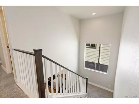 6209 Stable View St, Castle Pines, CO 80108 photo 22