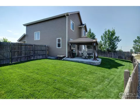 883 Durum St, Windsor, CO 80550 photo 18