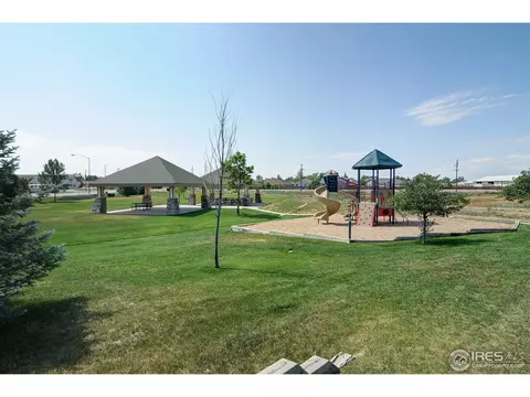 883 Durum St, Windsor, CO 80550 photo 25