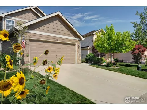 883 Durum St, Windsor, CO 80550 photo 3
