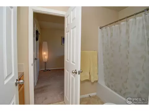 883 Durum St, Windsor, CO 80550 photo 15