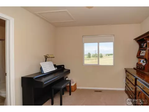 883 Durum St, Windsor, CO 80550 photo 13