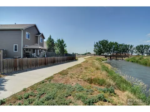 883 Durum St, Windsor, CO 80550 photo 24
