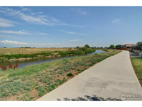 883 Durum St, Windsor, CO 80550 photo 23