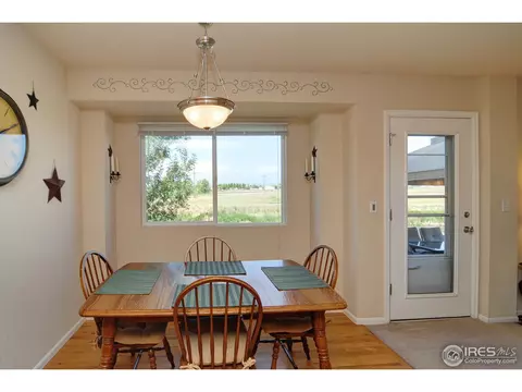 883 Durum St, Windsor, CO 80550 photo 8
