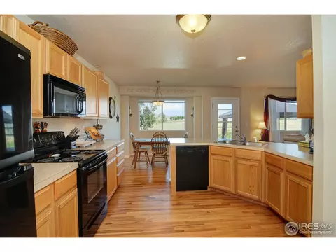 883 Durum St, Windsor, CO 80550 photo 5