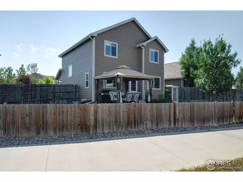 883 Durum St, Windsor, CO 80550 photo 19