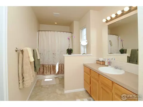 883 Durum St, Windsor, CO 80550 photo 12