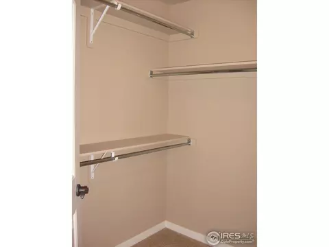 3673 Watts St, Timnath, CO 80547 photo 23