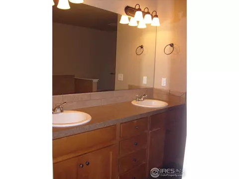 3673 Watts St, Timnath, CO 80547 photo 18