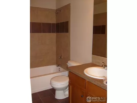 3673 Watts St, Timnath, CO 80547 photo 17