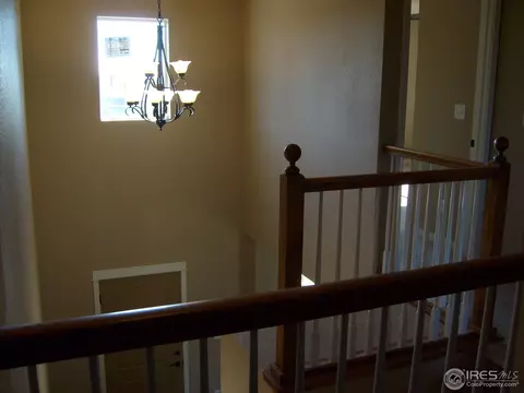 3673 Watts St, Timnath, CO 80547 photo 7
