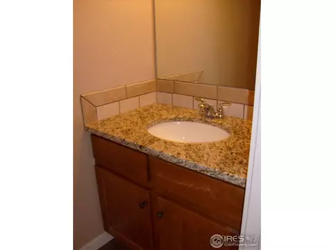 3673 Watts St, Timnath, CO 80547 photo 10