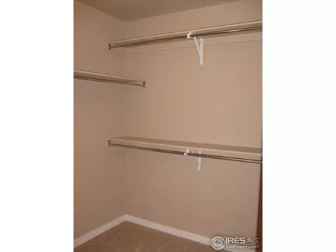 3673 Watts St, Timnath, CO 80547 photo 24