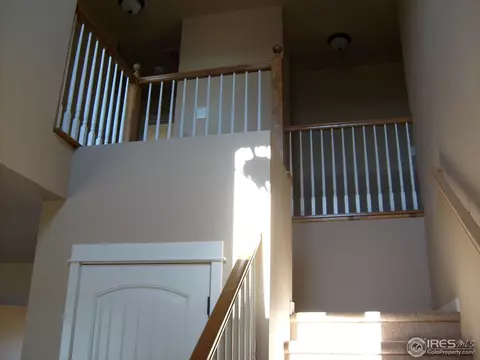 3673 Watts St, Timnath, CO 80547 photo 5
