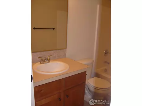 561 Dakota Ct, Windsor, CO 80550 photo 13