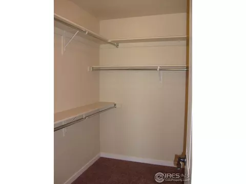 561 Dakota Ct, Windsor, CO 80550 photo 15