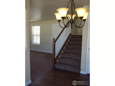 561 Dakota Ct, Windsor, CO 80550 photo 8