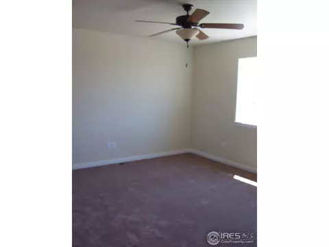 561 Dakota Ct, Windsor, CO 80550 photo 14