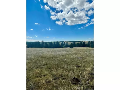11654 County Rd 102, Elbert, CO 80116 photo 1