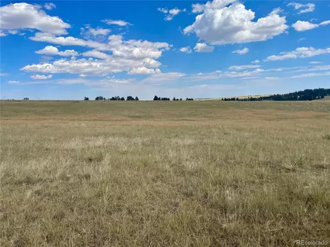 11654 County Rd 102, Elbert, CO 80116 photo 5