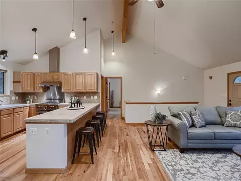 54 Brookside Dr, Bailey, CO 80421 photo 12