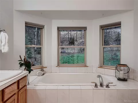 54 Brookside Dr, Bailey, CO 80421 photo 20