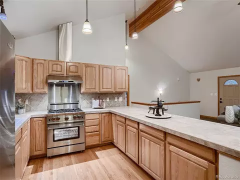 54 Brookside Dr, Bailey, CO 80421 photo 13