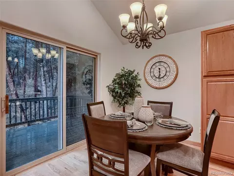 54 Brookside Dr, Bailey, CO 80421 photo 16